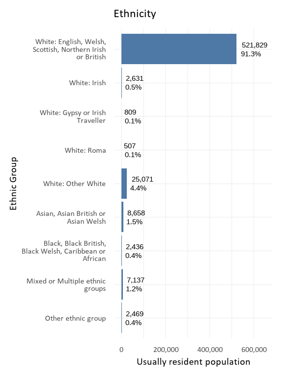 What Somerset looked like at the 2021 Census Somerset Intelligence